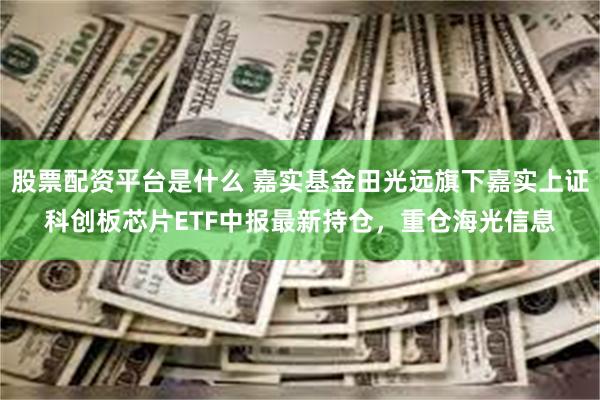 股票配资平台是什么 嘉实基金田光远旗下嘉实上证科创板芯片ETF中报最新持仓，重仓海光信息