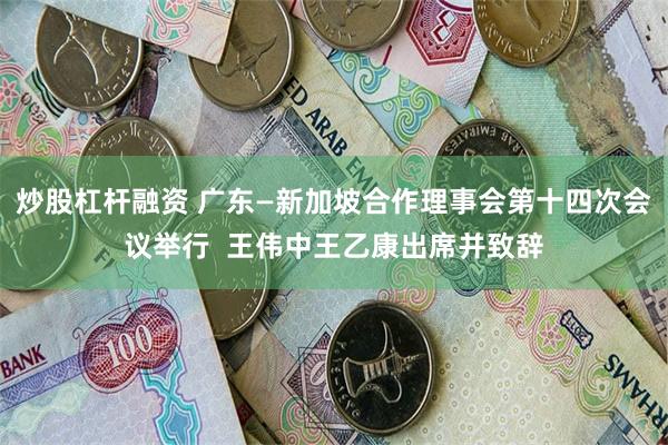 炒股杠杆融资 广东—新加坡合作理事会第十四次会议举行  王伟中王乙康出席并致辞