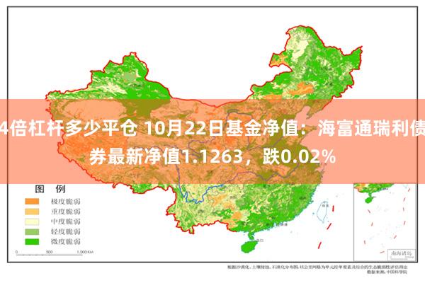 4倍杠杆多少平仓 10月22日基金净值：海富通瑞利债券最新净值1.1263，跌0.02%