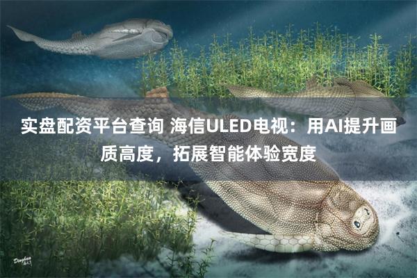 实盘配资平台查询 海信ULED电视：用AI提升画质高度，拓展智能体验宽度