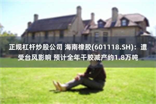 正规杠杆炒股公司 海南橡胶(601118.SH)：遭受台风影响 预计全年干胶减产约1.8万吨