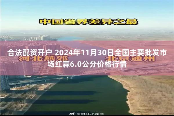 合法配资开户 2024年11月30日全国主要批发市场红蒜6.0公分价格行情