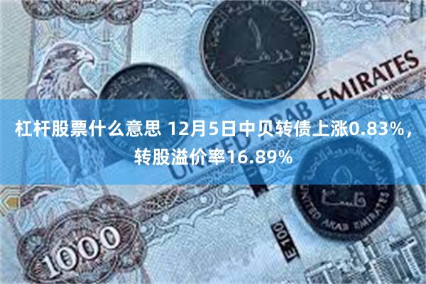 杠杆股票什么意思 12月5日中贝转债上涨0.83%，转股溢价率16.89%