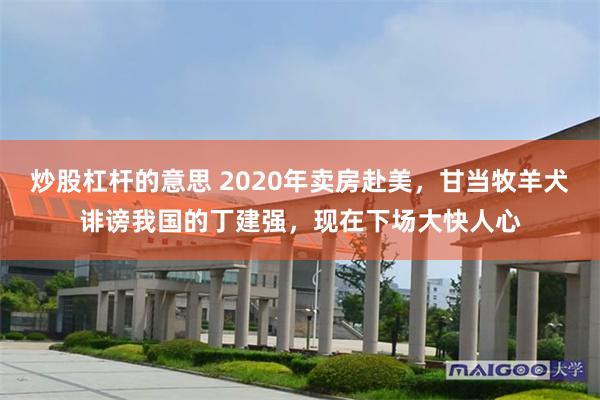 炒股杠杆的意思 2020年卖房赴美，甘当牧羊犬诽谤我国的丁建强，现在下场大快人心