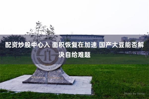 配资炒股中心入 面积恢复在加速 国产大豆能否解决自给难题